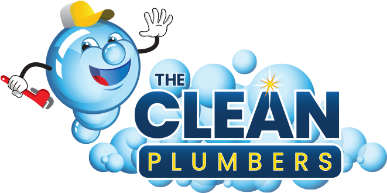 The Clean Plumbers